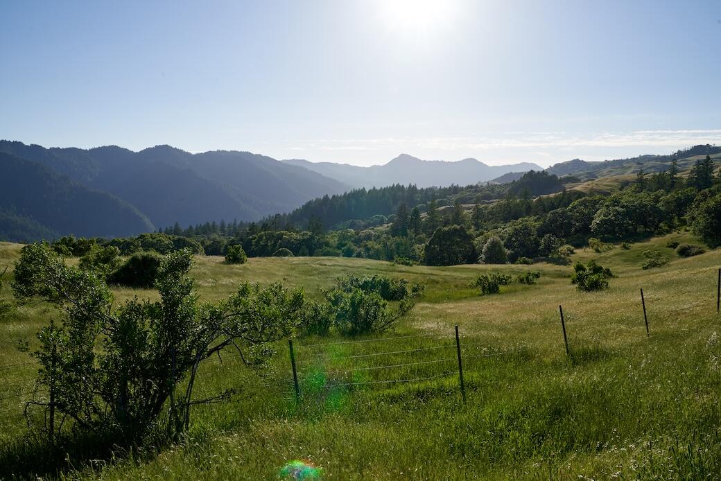 23333 Maple Creek Road Korbel, CA 95550 - Photo 5 of 53