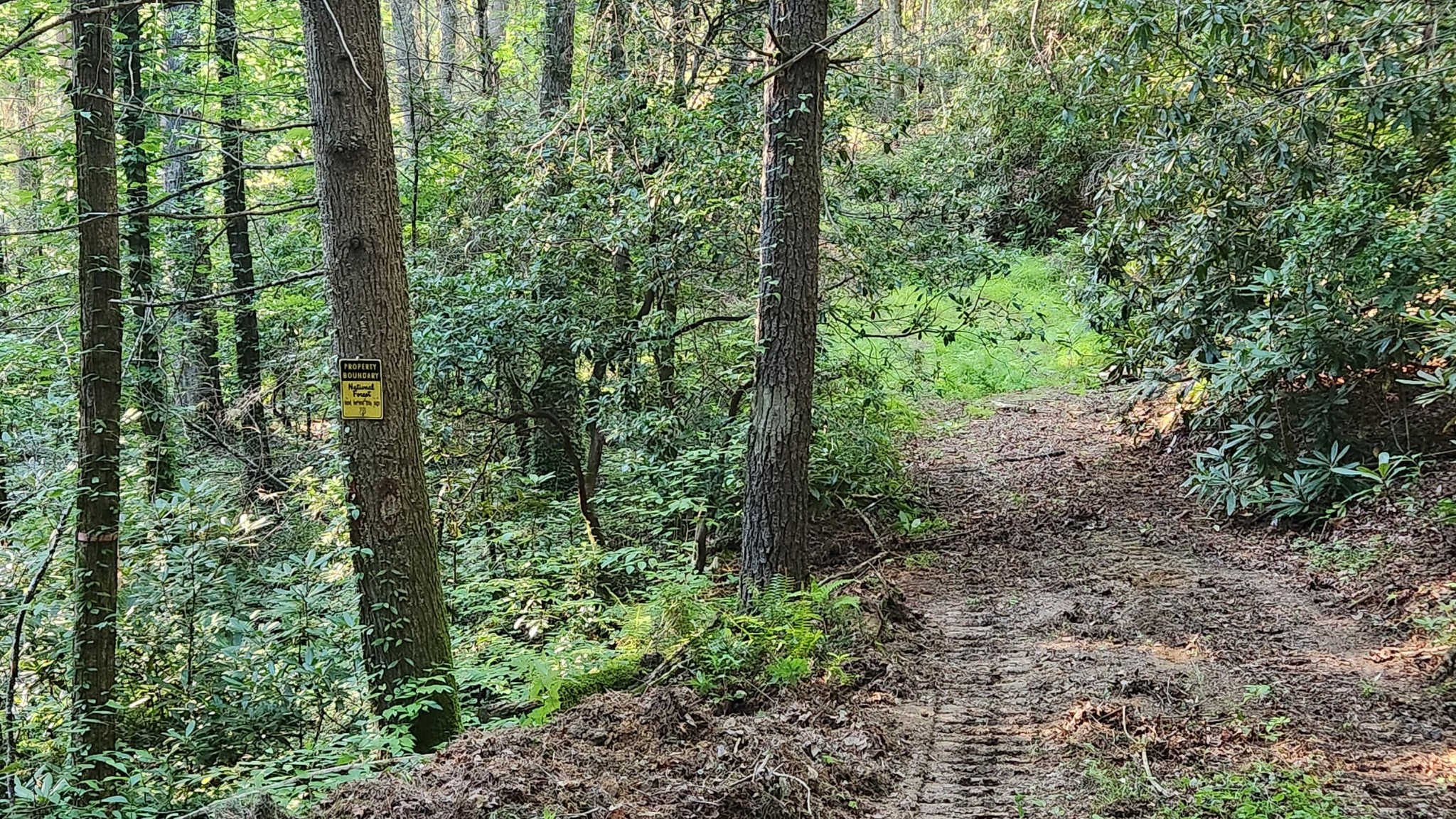0 Tumbling Creek Road Copperhill, TN 37317 - Photo 20 of 62