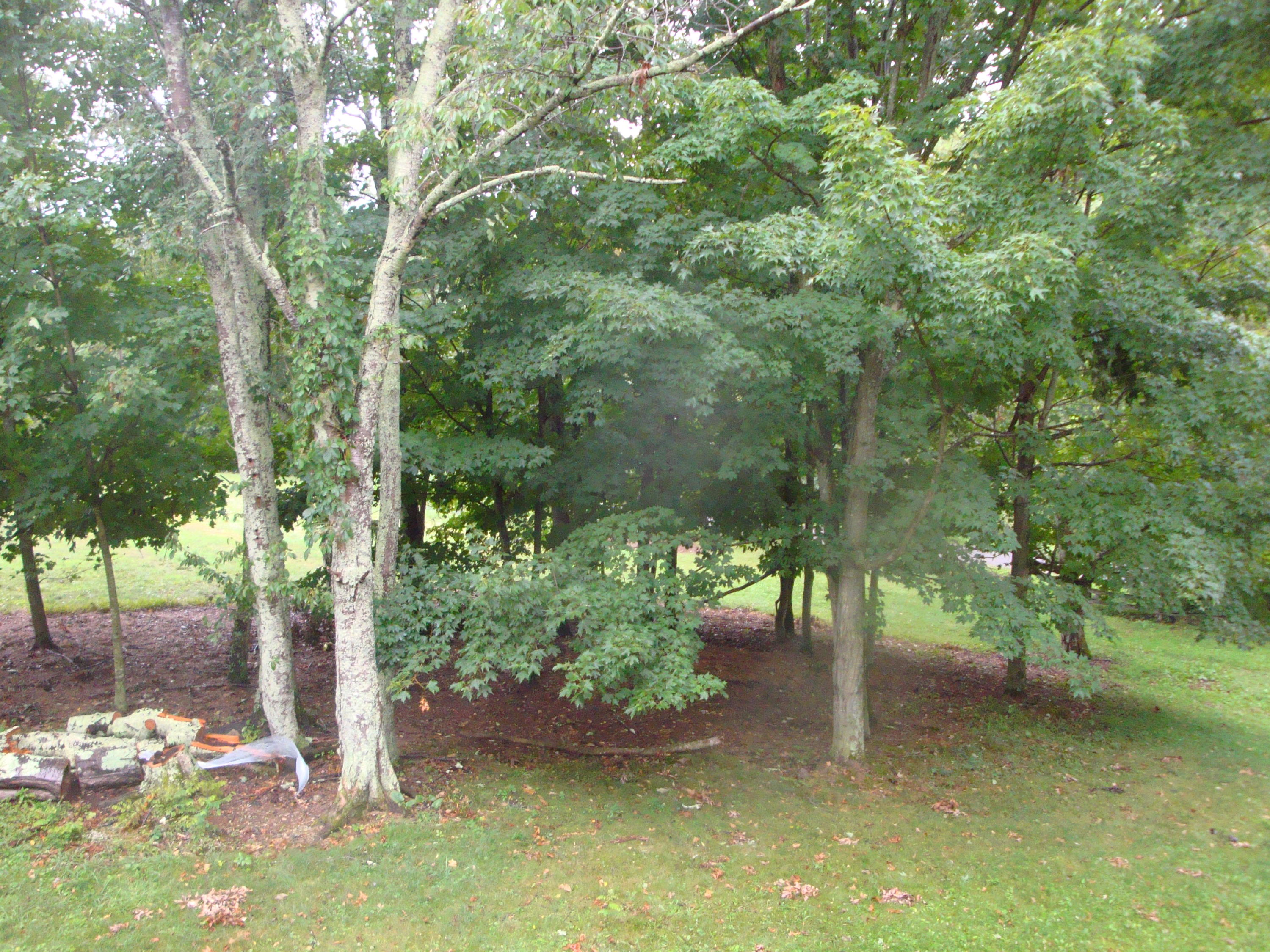 5903 Rockcliff Road Crawley, WV 24931 - Photo 26 of 27 Gallery Image 26