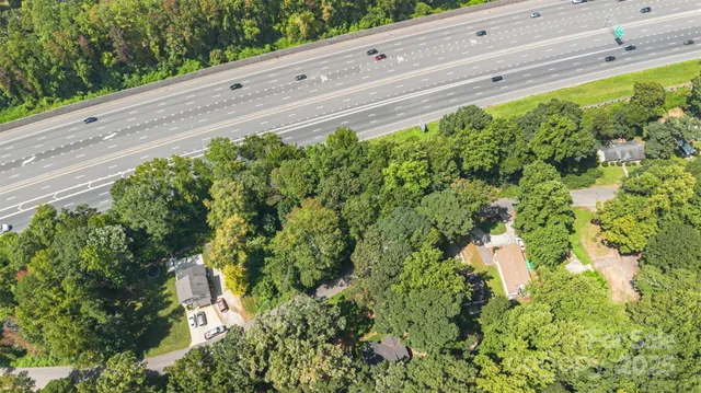 a view of a garden with plants