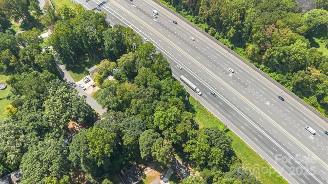 a close up of a plant in a garden