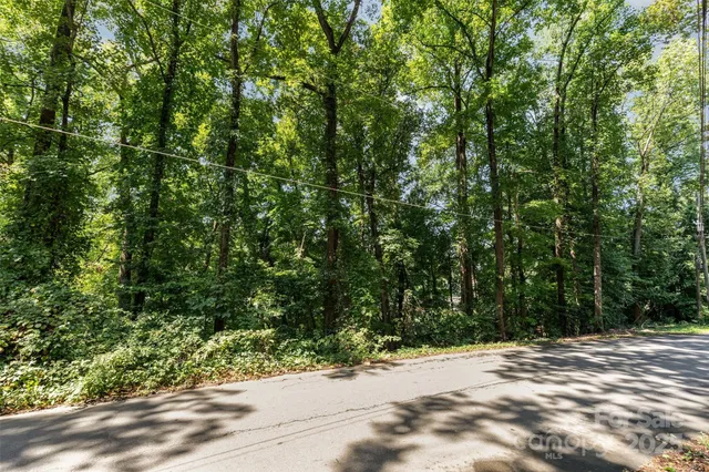 a view of a yard with plants and trees