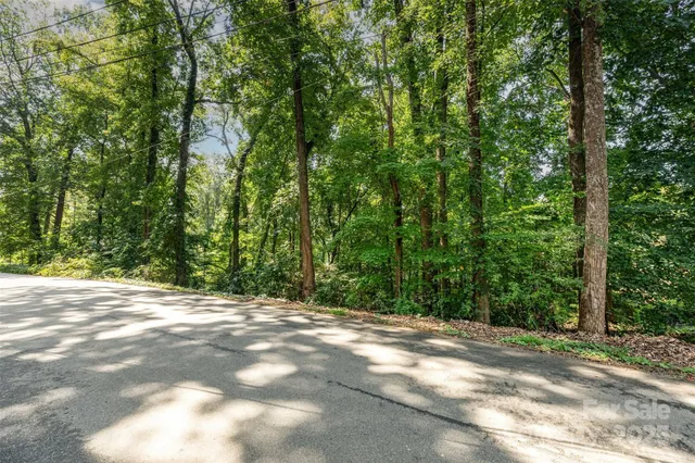 a view of a yard with large trees