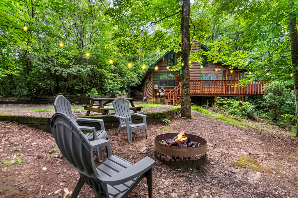 56 Johnson Drive Blue Ridge, GA 30513 - Photo 34 of 37 Gallery Image 34