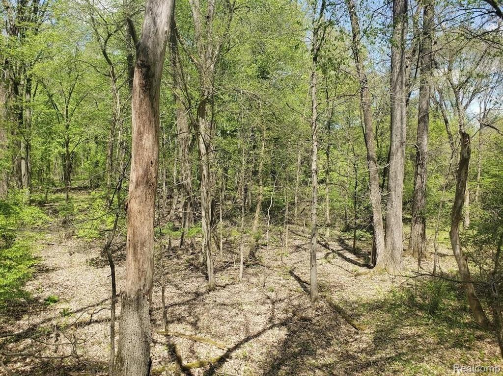 4100 Blackman Road Jackson, MI 49201 - Photo 8 of 26