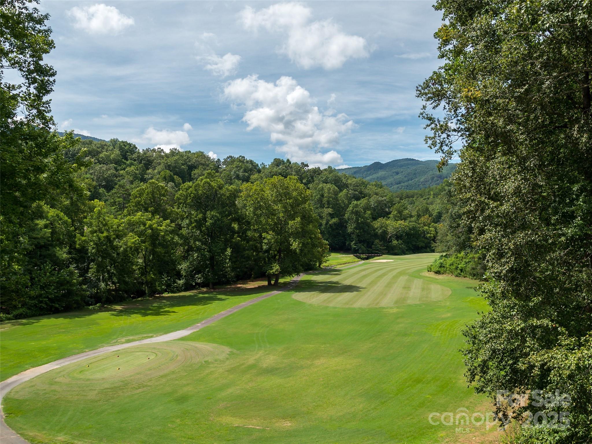 0 Quail Ridge Road, Unit 216 Lake Lure, NC 28746 - Photo 12 of 15