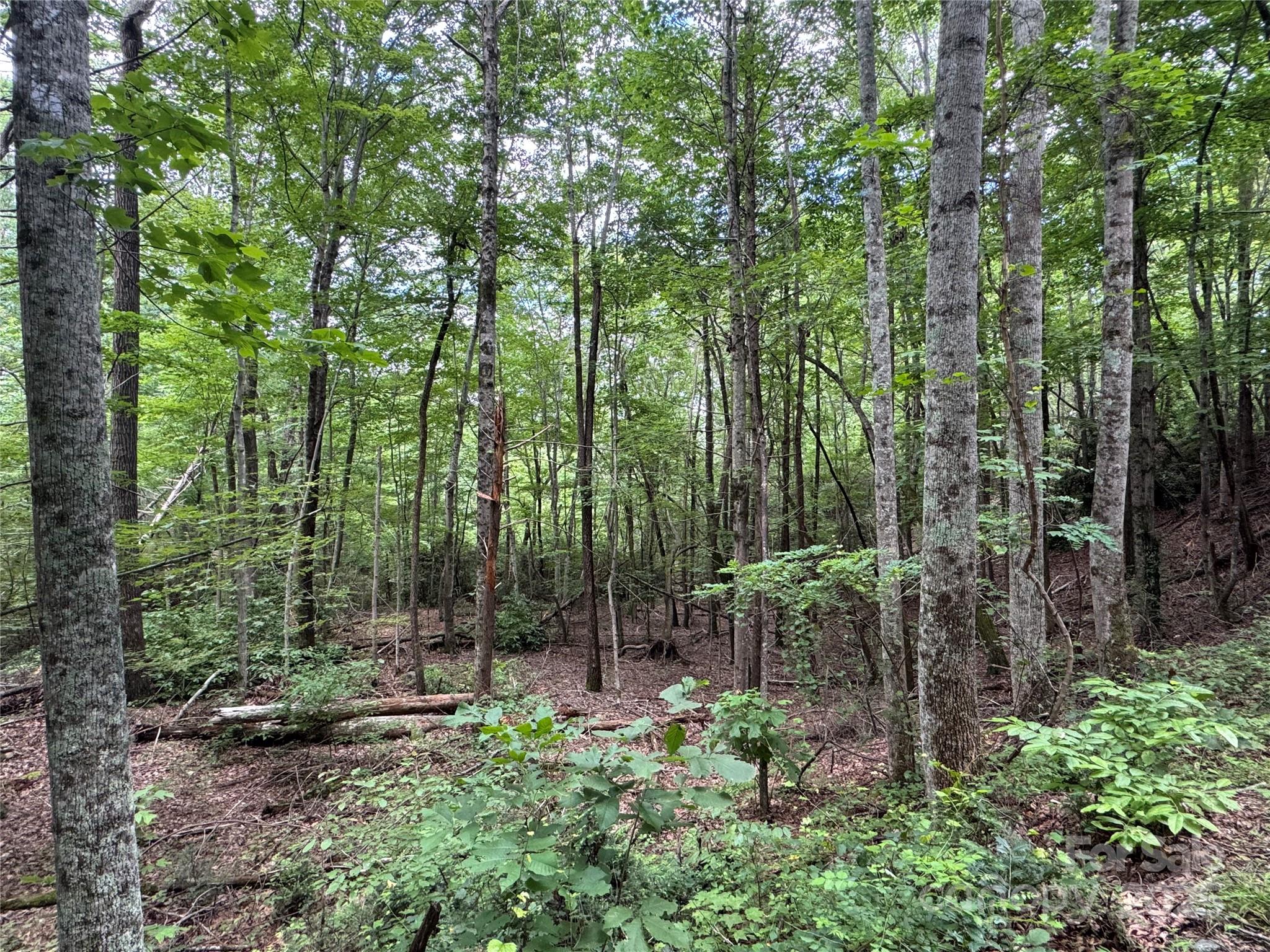 0 Quail Ridge Road, Unit 216 Lake Lure, NC 28746 - Photo 3 of 15