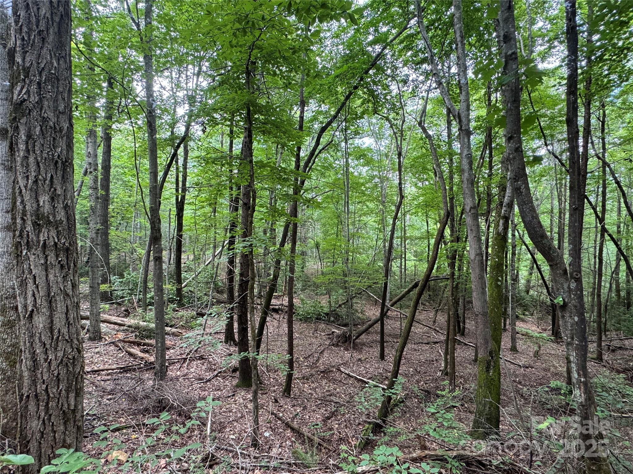 0 Quail Ridge Road, Unit 216 Lake Lure, NC 28746 - Photo 4 of 15