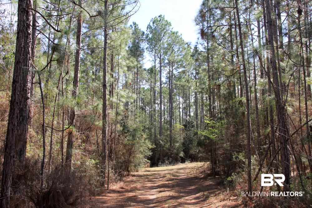 0 County Road 49 Loxley, AL 36551 - Photo 30 of 33