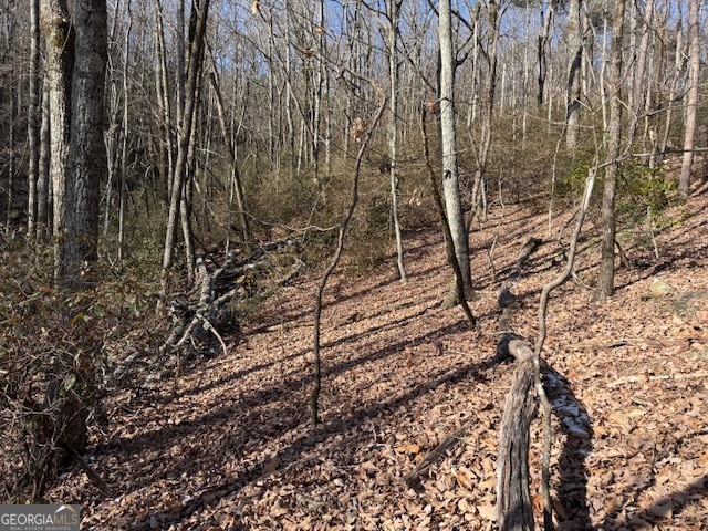 1502 Raspberry Lane Clarkesville, GA 30523 - Photo 11 of 14 a view of a backyard of the house