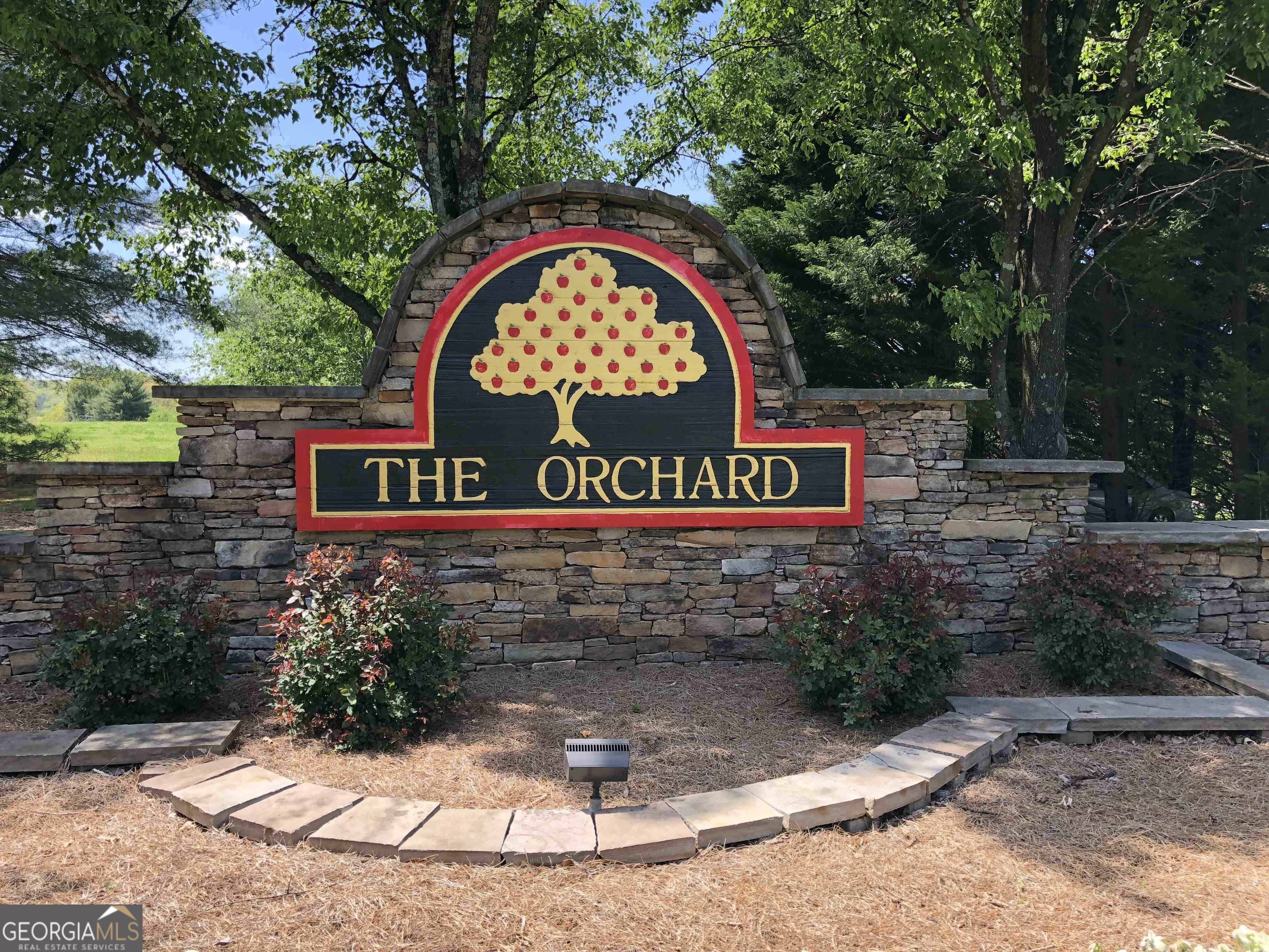 1502 Raspberry Lane Clarkesville, GA 30523 - Photo 14 of 14 a view of sign board with yard