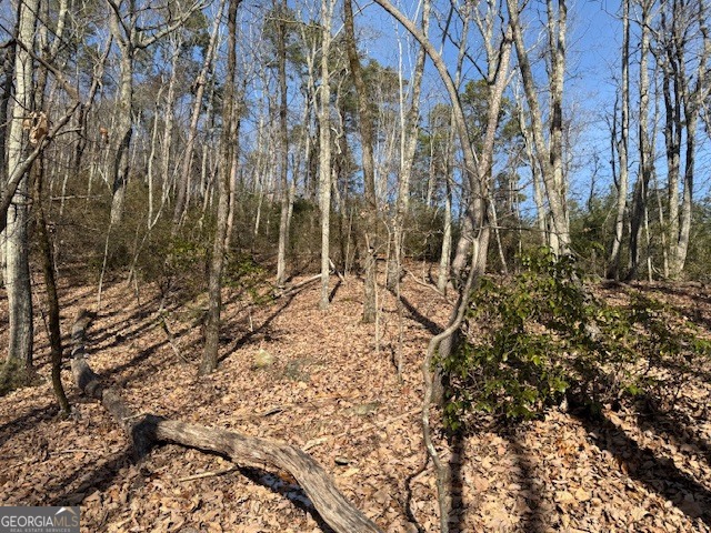1502 Raspberry Lane Clarkesville, GA 30523 - Photo 3 of 14 a view of a yard with trees