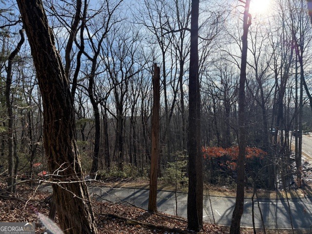 1502 Raspberry Lane Clarkesville, GA 30523 - Photo 5 of 14 a backyard of a house with lots of green space and outdoor seating