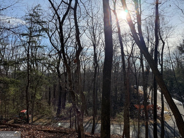 1502 Raspberry Lane Clarkesville, GA 30523 - Photo 6 of 14