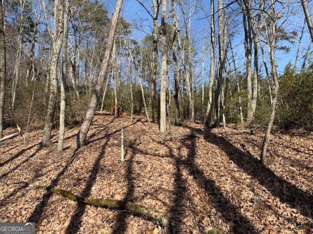 1502 Raspberry Lane Clarkesville, GA 30523 - Photo 9 of 14 a view of a yard with trees