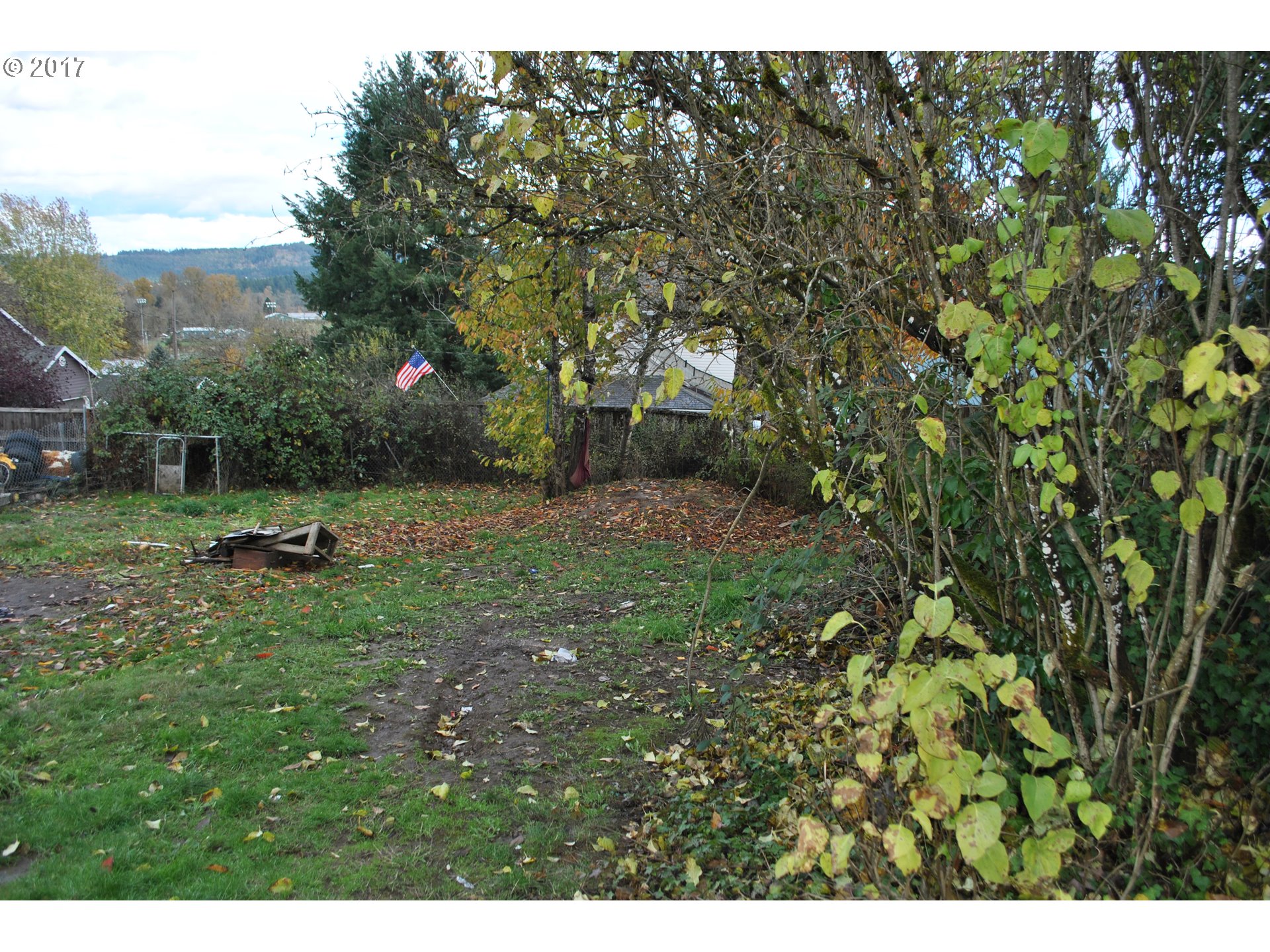 407 3rd Street Gaston, OR 97119 - Photo 13 of 17 Gallery Image 13