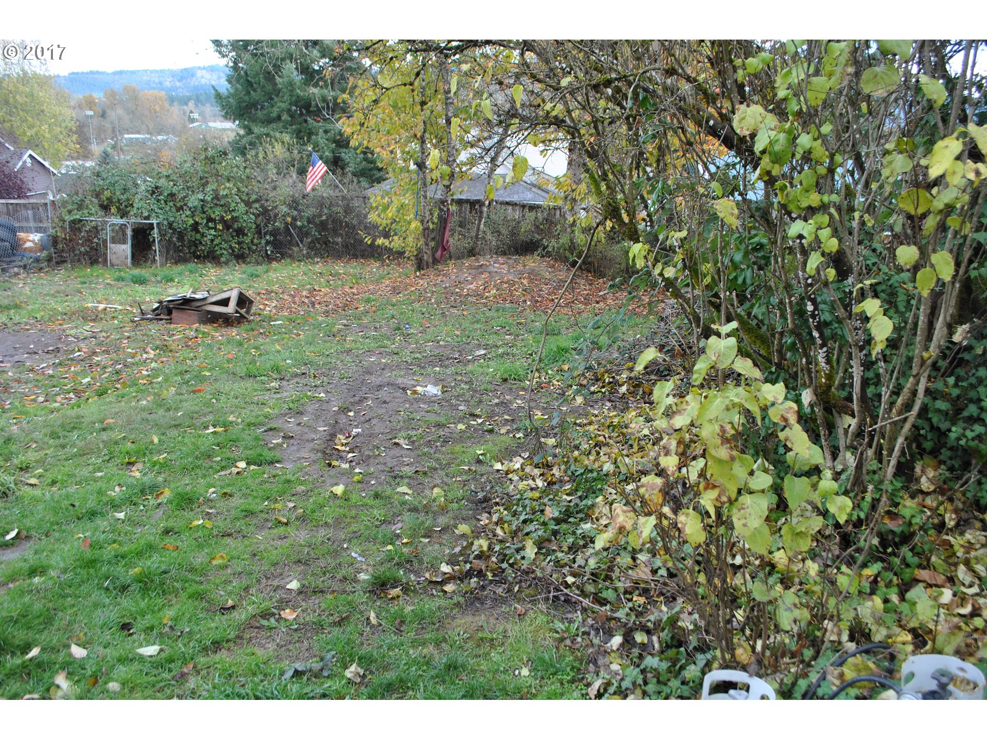 407 3rd Street Gaston, OR 97119 - Photo 14 of 17 Gallery Image 14