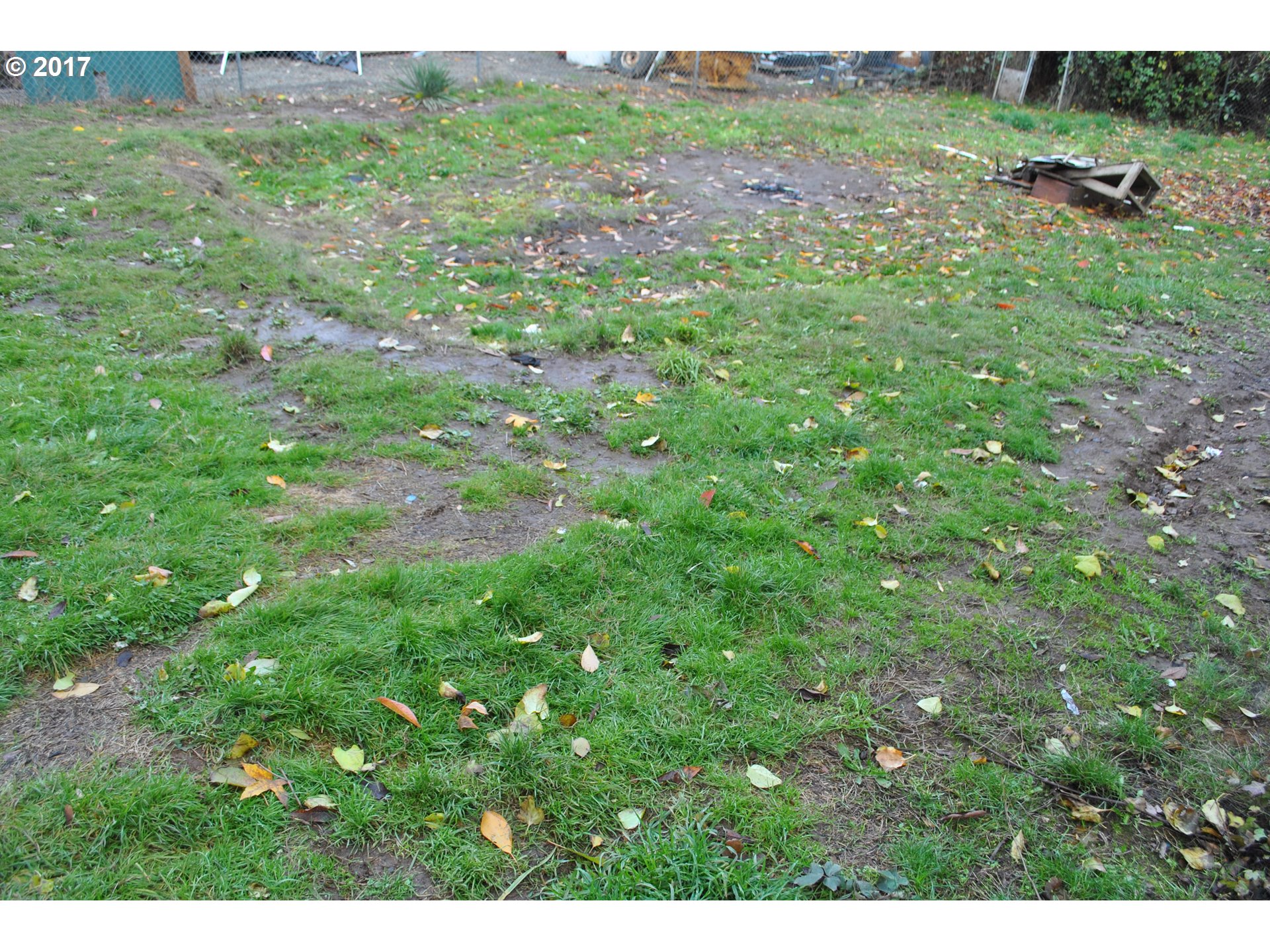 407 3rd Street Gaston, OR 97119 - Photo 16 of 17 Gallery Image 16