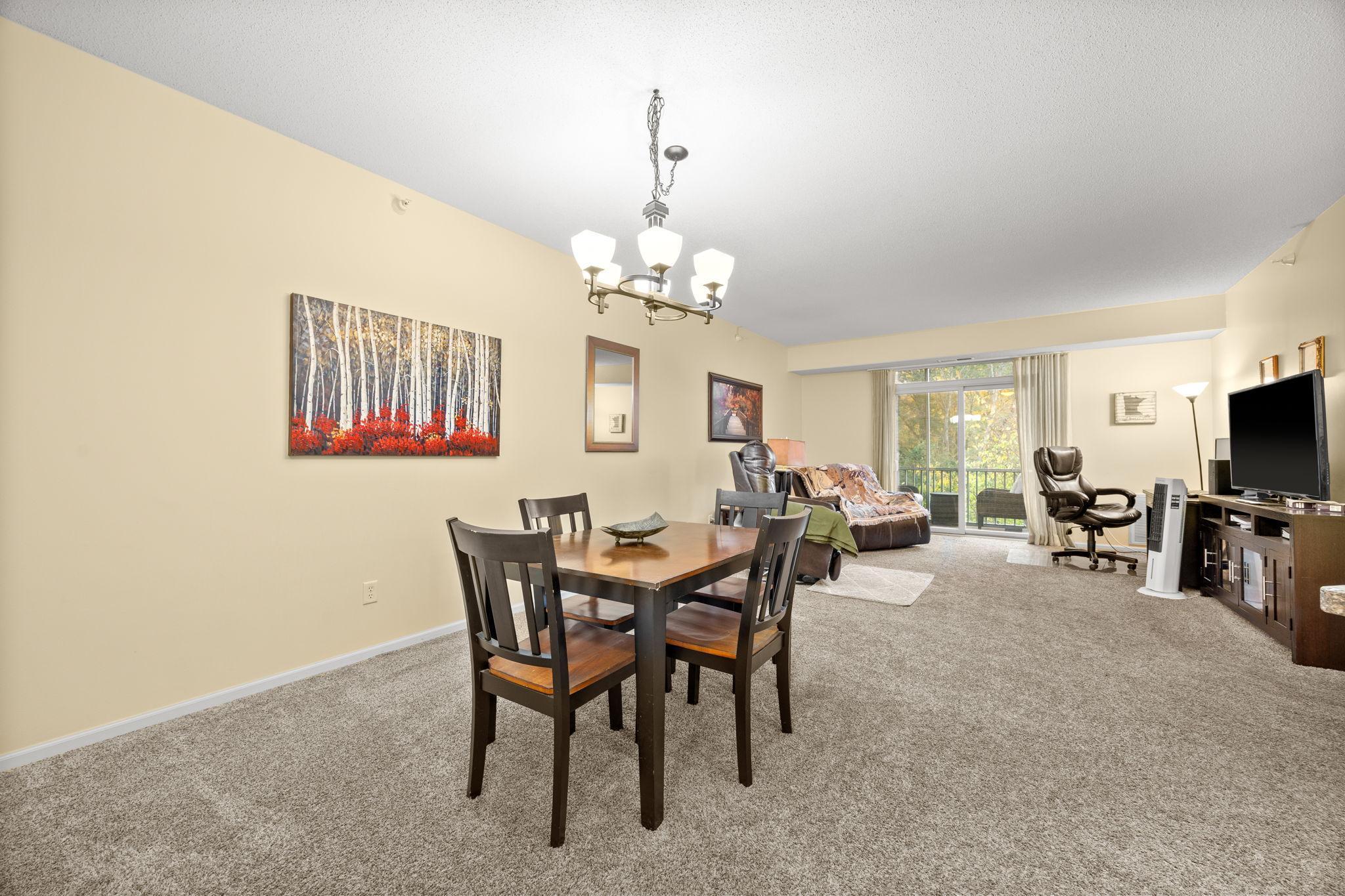 110696 Village Road, Unit 219 Chaska, MN 55318 - Photo 12 of 25