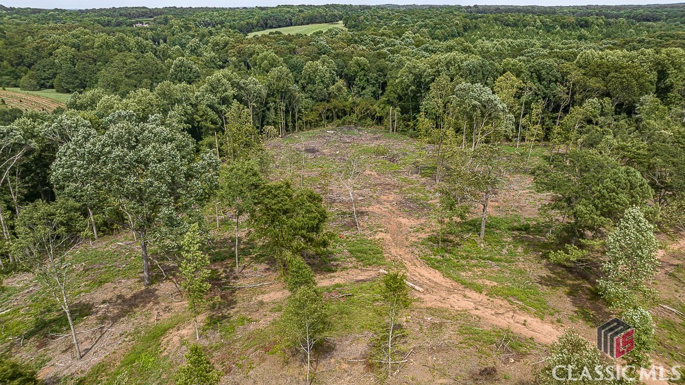 Lot 1 Coldwater Road Dewy Rose, GA 30634 - Photo 11 of 21