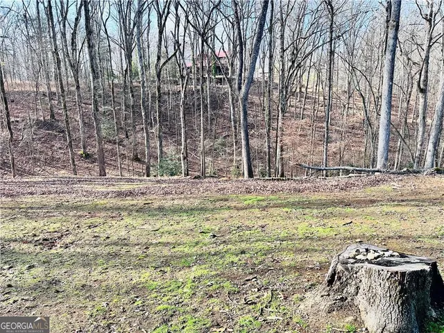 a view of swimming pool with a yard and trees