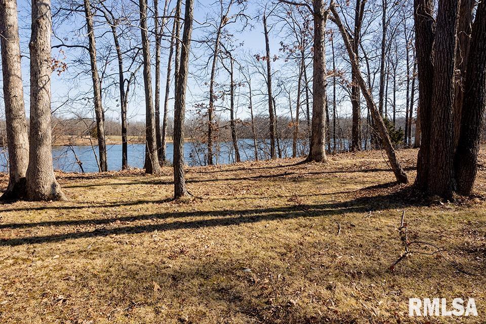 5840 McCarty Road Kinmundy, IL 62854 - Photo 30 of 33