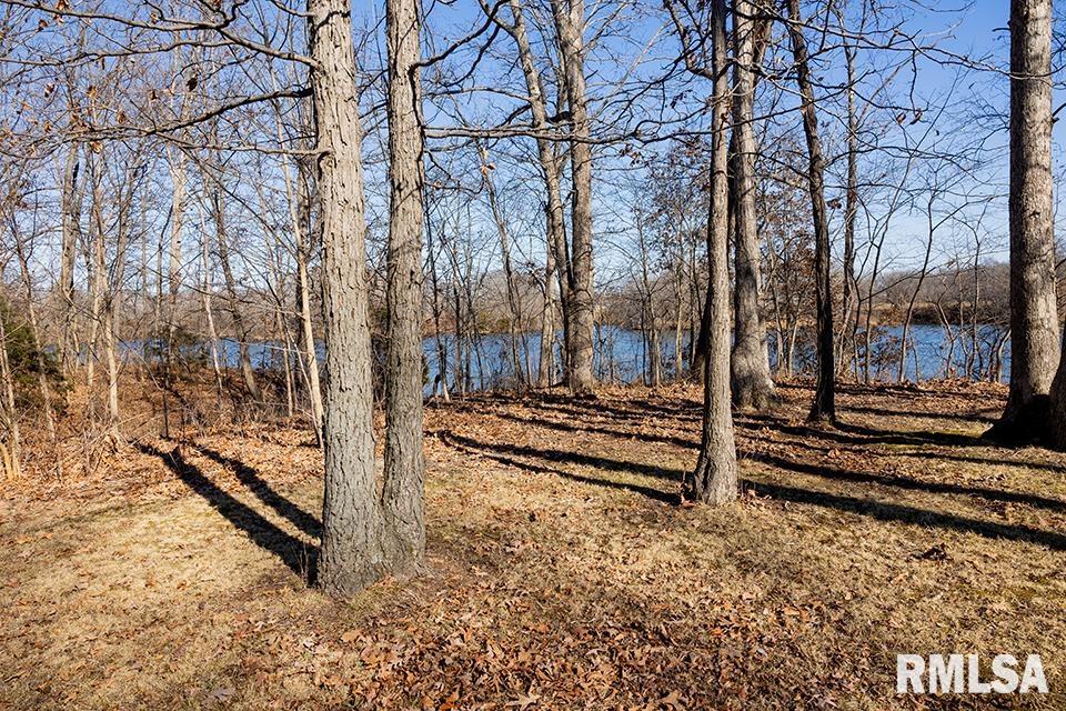 5840 McCarty Road Kinmundy, IL 62854 - Photo 31 of 33