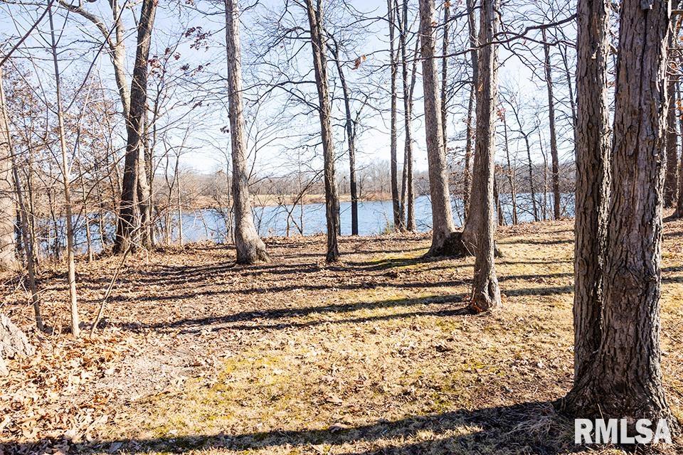 5840 McCarty Road Kinmundy, IL 62854 - Photo 6 of 33