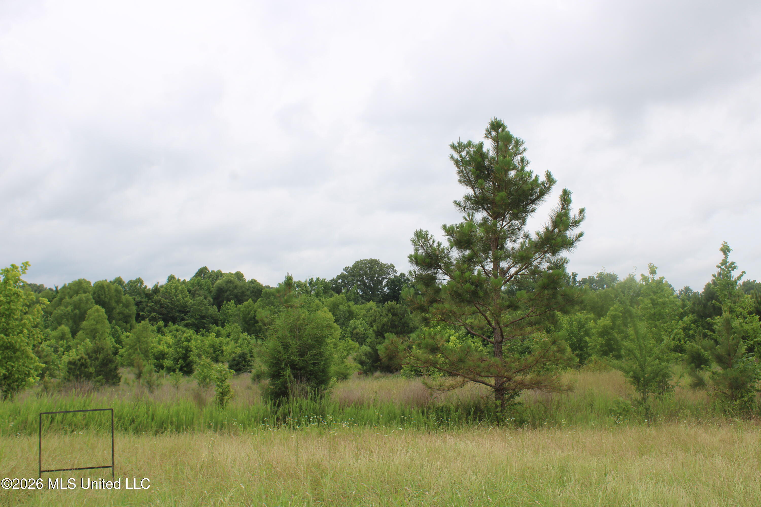 2 Eason Farm Road Byhalia, MS 38611 - Photo 16 of 23 IMG_7840