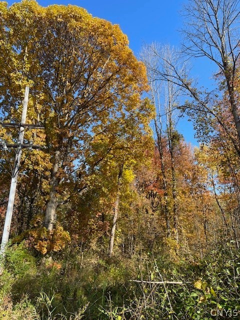 West 11th Street Fulton, NY 13069 - Photo 1 of 11