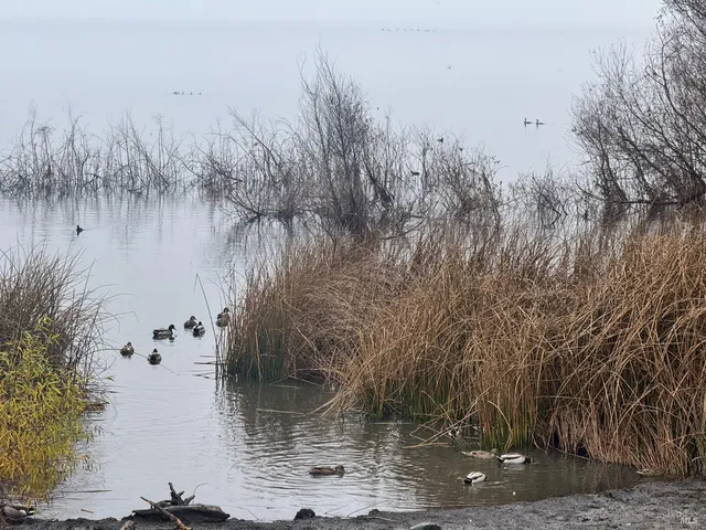 $3,000 | 12332 Mountain View Drive, Clearlake Oaks, CA 95423