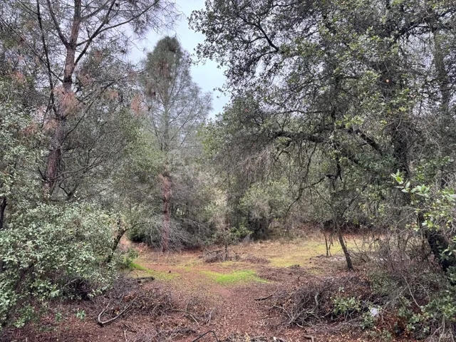 $3,000 | 12332 Mountain View Drive, Clearlake Oaks, CA 95423