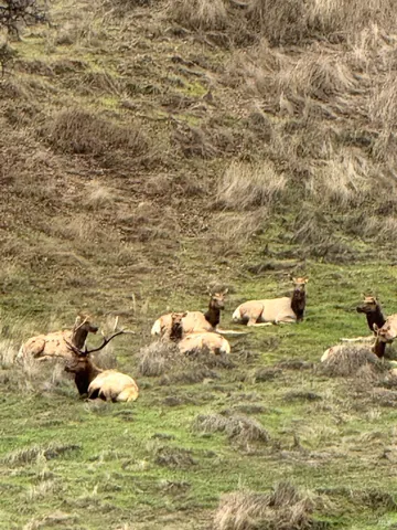 $3,000 | 12332 Mountain View Drive, Clearlake Oaks, CA 95423