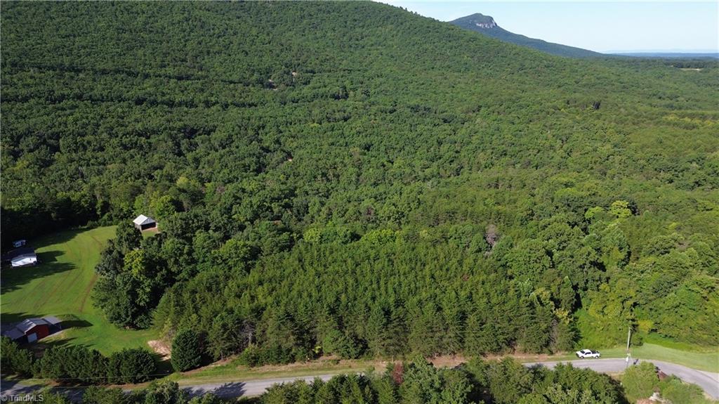 Tract F Hanging Rock Forest Road, Unit TRACT F Danbury, NC 27016 - Photo 11 of 16