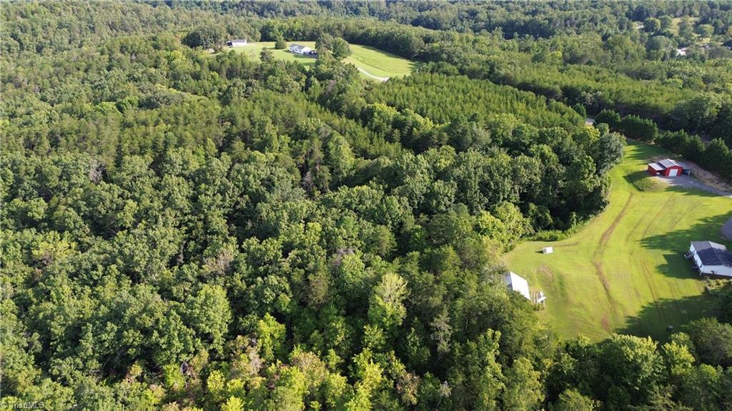 Tract F Hanging Rock Forest Road, Unit TRACT F Danbury, NC 27016 - Photo 12 of 16