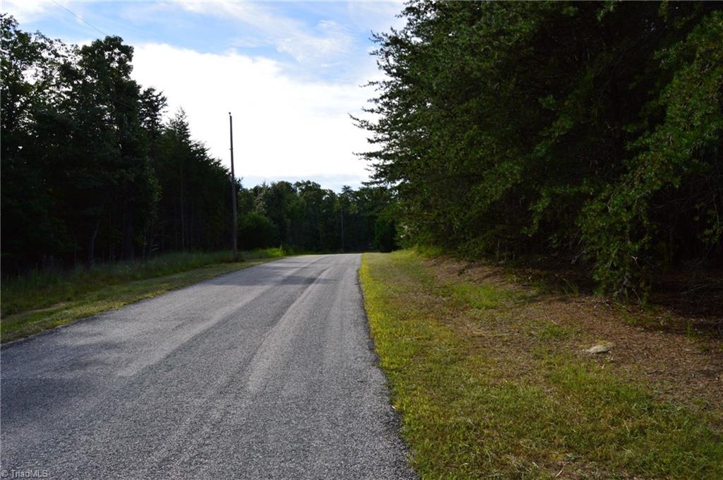 Tract F Hanging Rock Forest Road, Unit TRACT F Danbury, NC 27016 - Photo 3 of 16