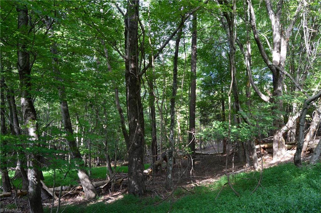 Tract F Hanging Rock Forest Road, Unit TRACT F Danbury, NC 27016 - Photo 5 of 16