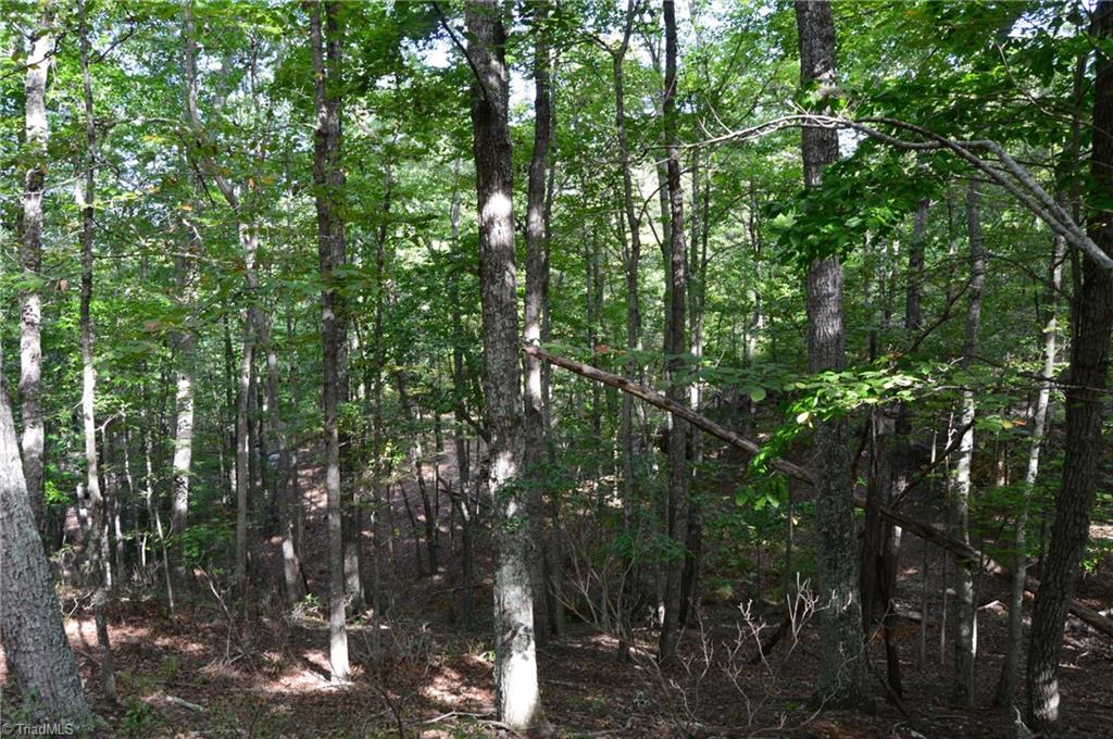 Tract F Hanging Rock Forest Road, Unit TRACT F Danbury, NC 27016 - Photo 8 of 16