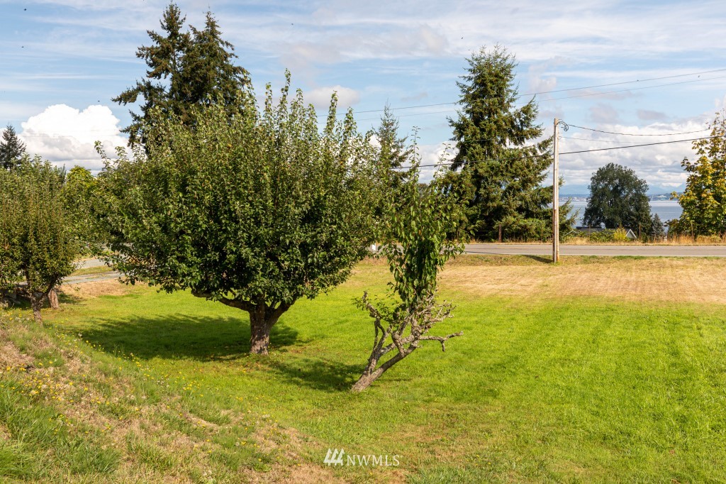 6582 Humphrey Road Clinton, WA 98236 - Photo 32 of 39 a view of yard with tree in the background