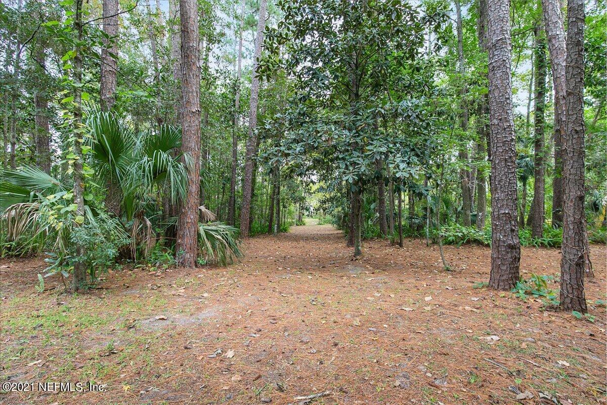 8607 Sanchez Road Jacksonville, FL 32217 - Photo 32 of 36 33-Backyard