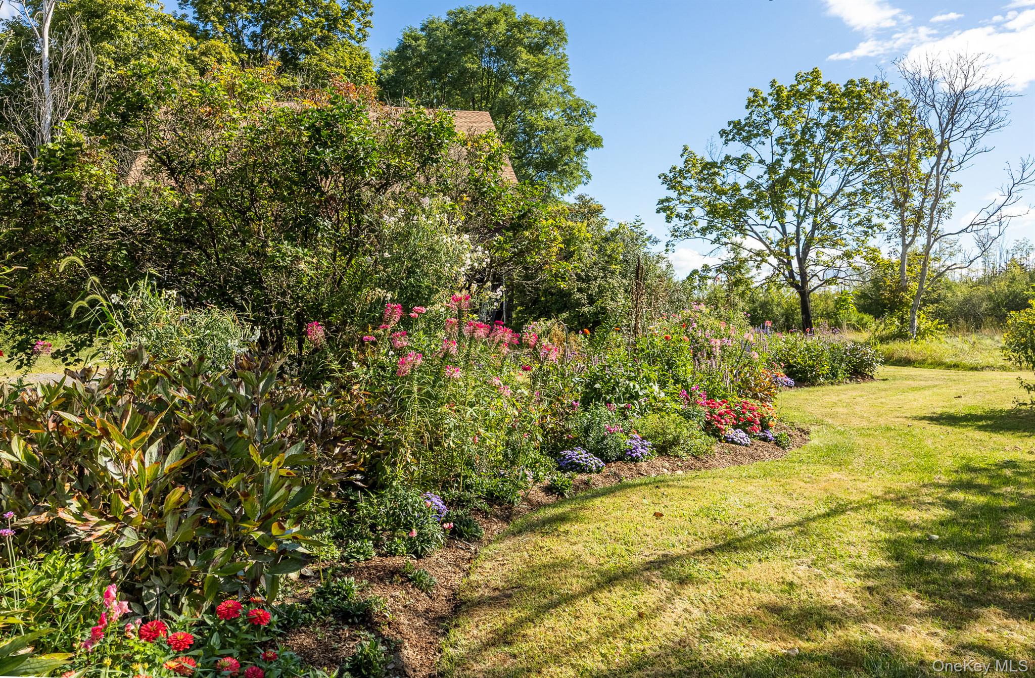 1281 Woods Road Germantown, NY 12526 - Photo 30 of 33 a view of a yard with plants and large trees