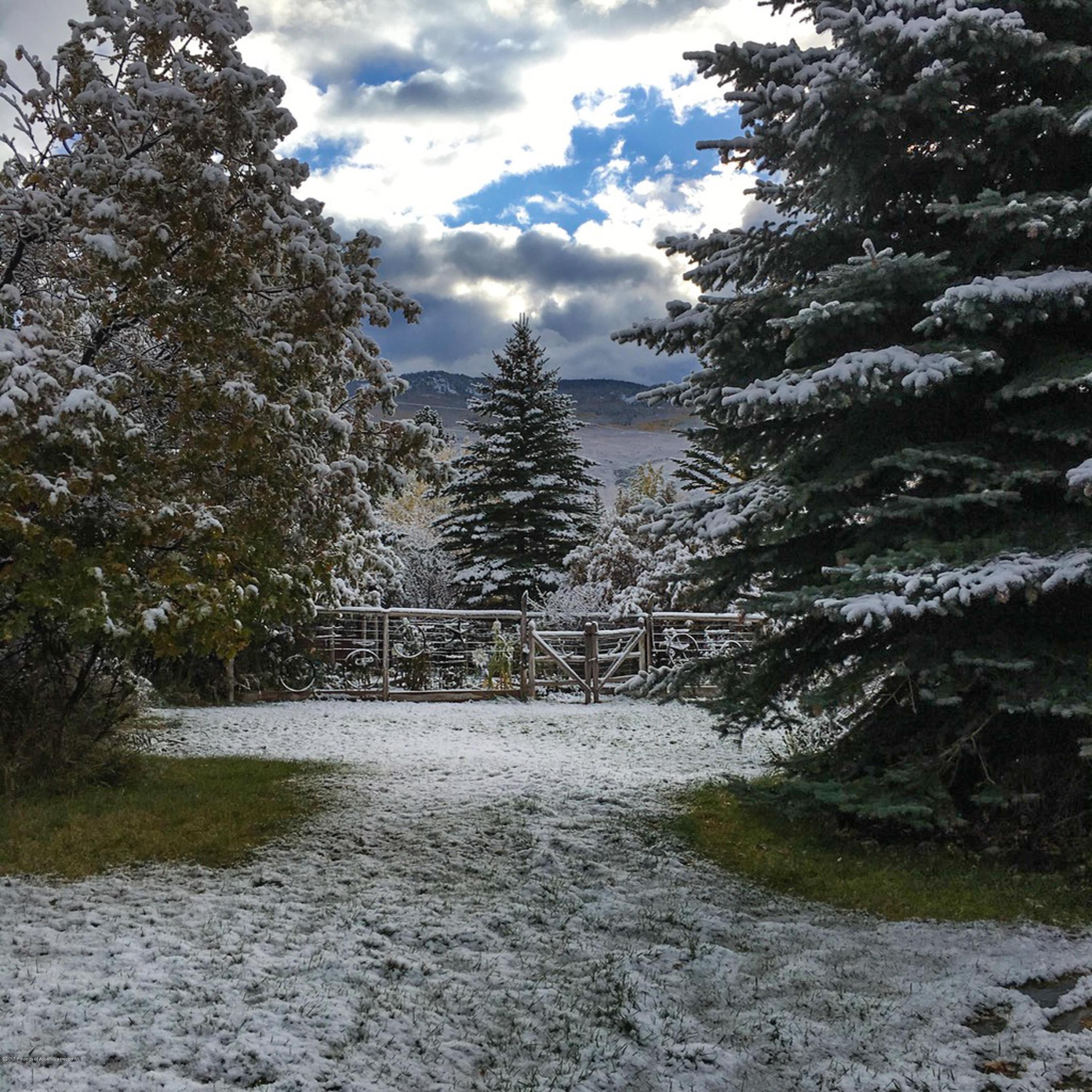 321 Mountain View Road Carbondale, CO 81623 - Photo 35 of 36 a view of a yard with trees