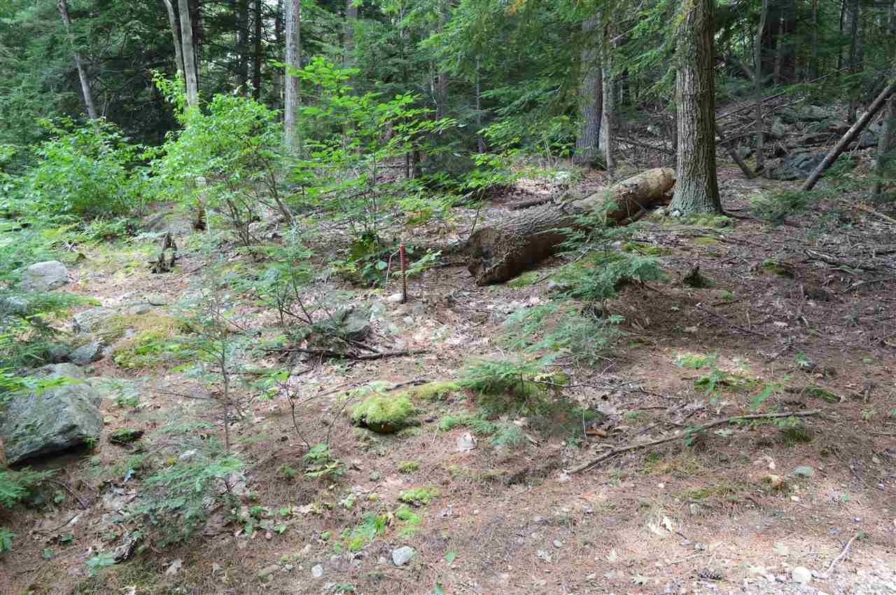 41 Middle Pratt Pond Road New Ipswich, NH 03071 - Photo 2 of 20 Gallery Image 2