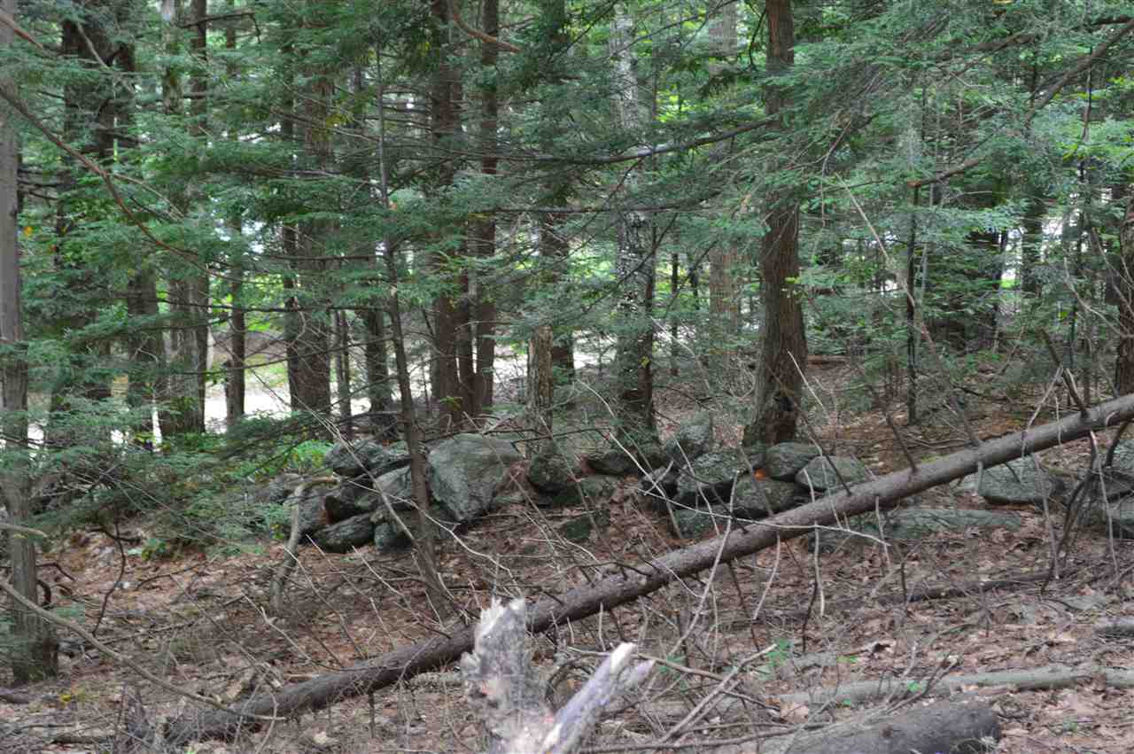 41 Middle Pratt Pond Road New Ipswich, NH 03071 - Photo 12 of 20 Gallery Image 12