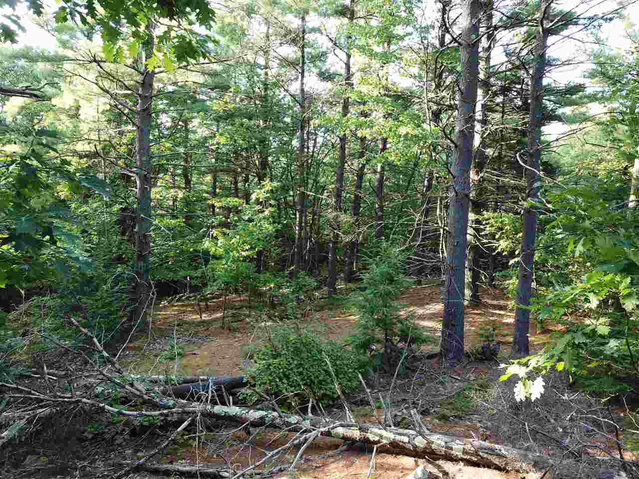 41 Middle Pratt Pond Road New Ipswich, NH 03071 - Photo 19 of 20 Gallery Image 19