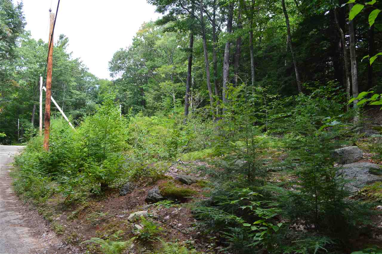 41 Middle Pratt Pond Road New Ipswich, NH 03071 - Photo 5 of 20 Gallery Image 5