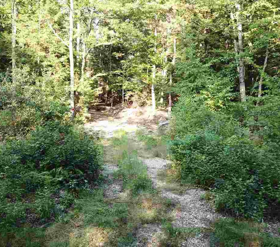 41 Middle Pratt Pond Road New Ipswich, NH 03071 - Photo 6 of 20 Gallery Image 6
