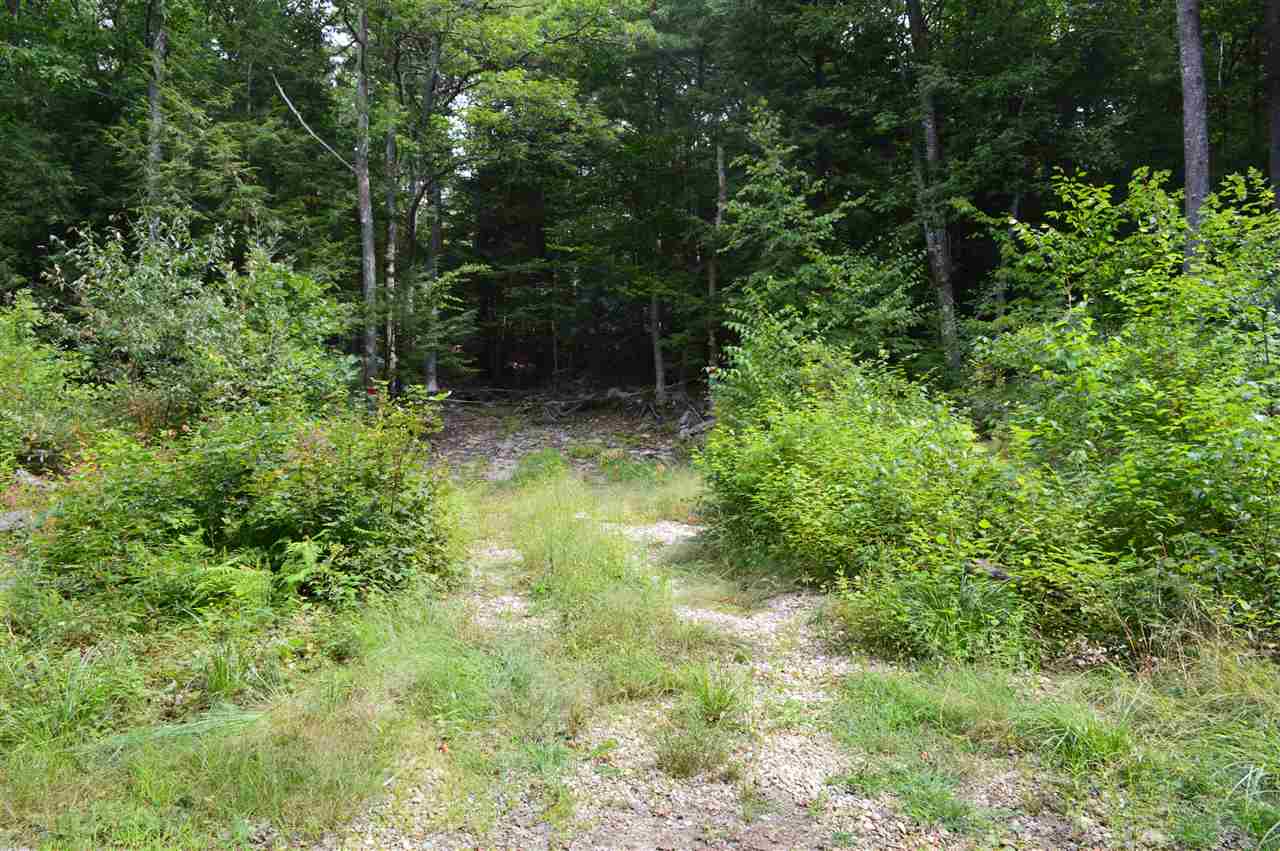 41 Middle Pratt Pond Road New Ipswich, NH 03071 - Photo 9 of 20 Gallery Image 9