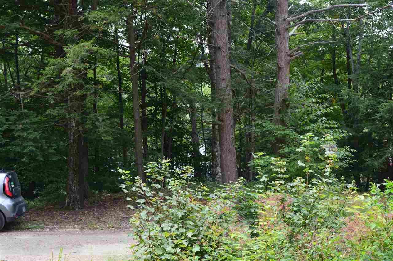 41 Middle Pratt Pond Road New Ipswich, NH 03071 - Photo 10 of 20 Gallery Image 10