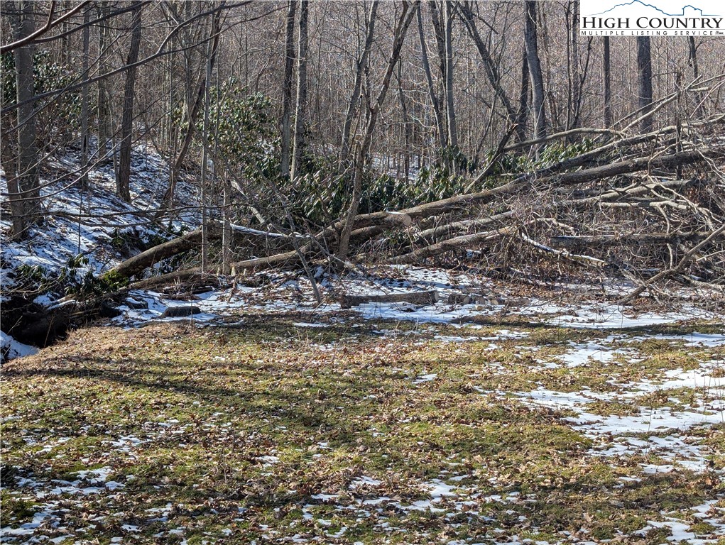 435 Edwards Road West Jefferson, NC 28694 - Photo 16 of 23 a view of a yard with plants and trees
